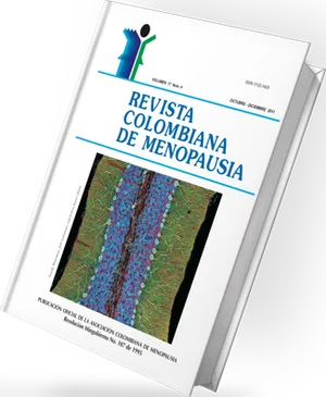 Carátula Vol. 17 No. 4