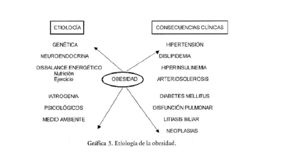 Imagen del artículo