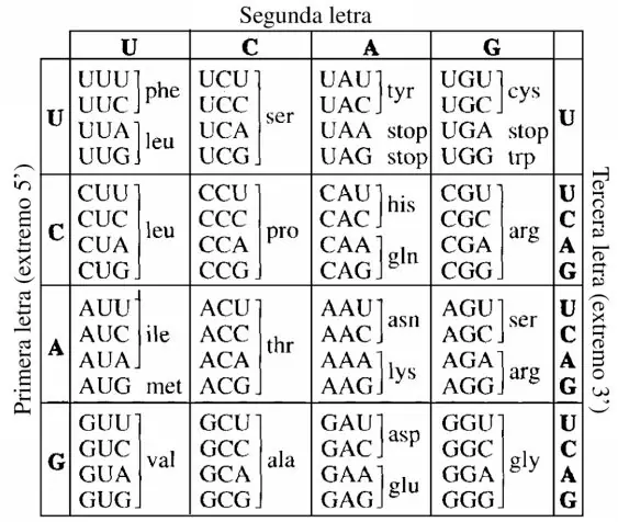 Figura 6 del artículo