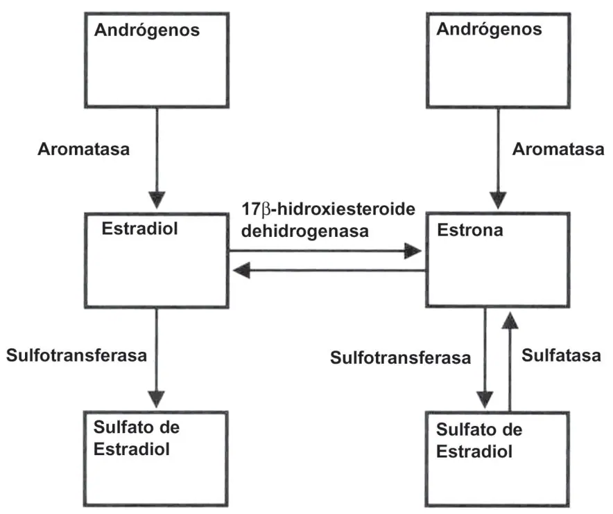 Imagen del artículo
