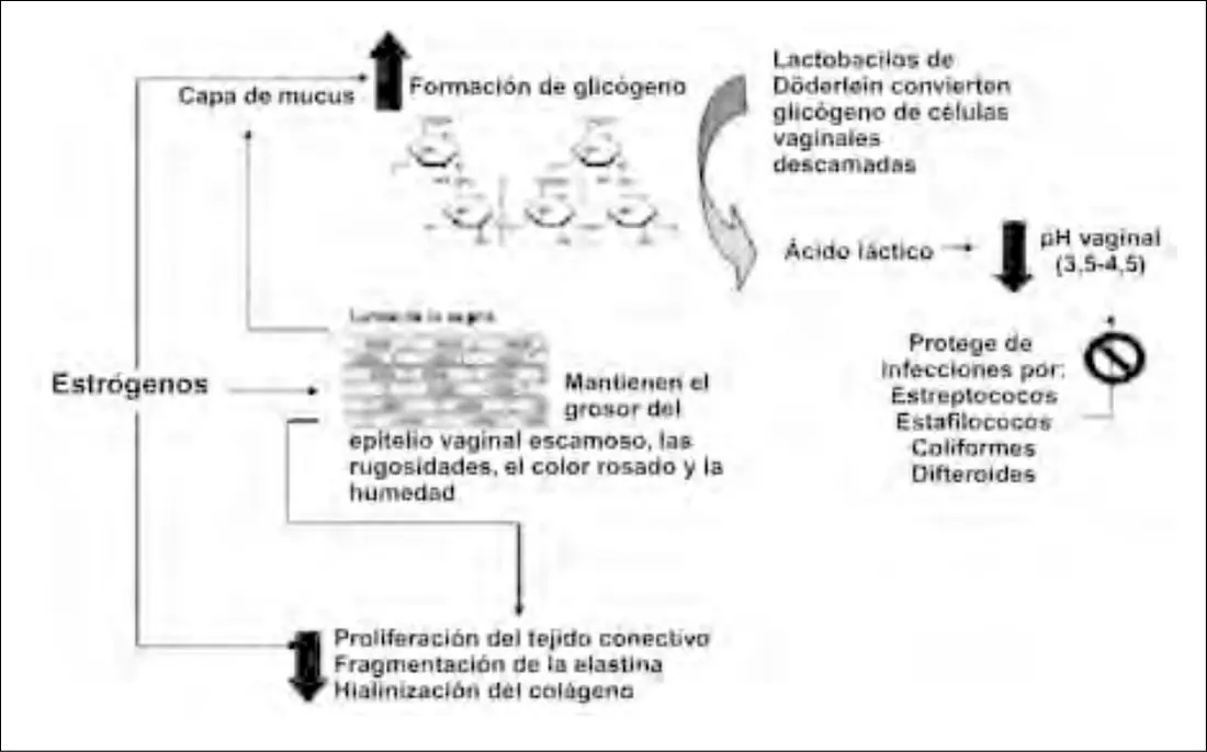 Figura 1 del artículo