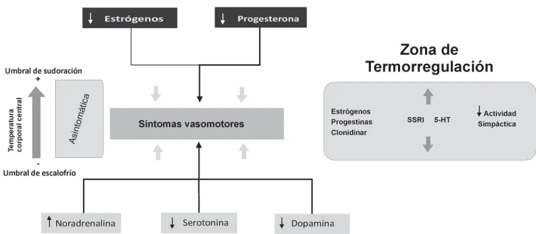 Gráfico 1 del artículo