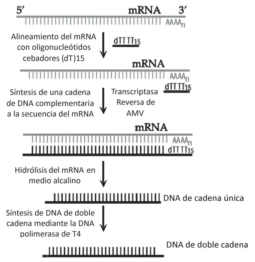 Figura 7 del artículo