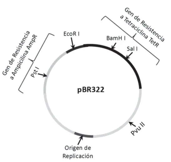 Figura 5 del artículo