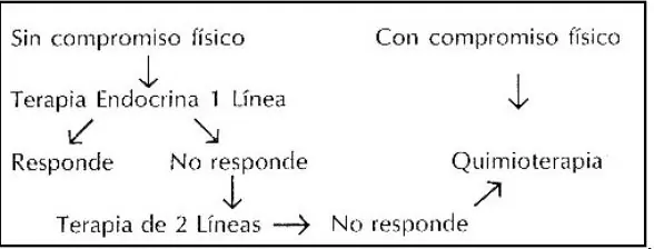Imagen del artículo