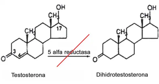 Imagen del artículo