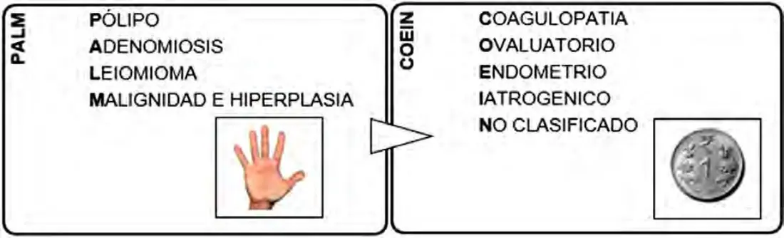 Imagen del artículo