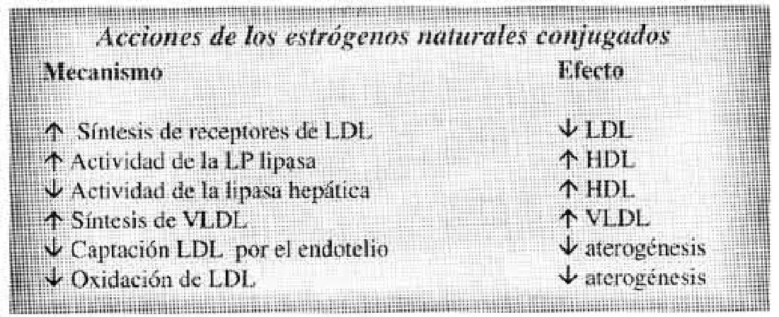 Imagen del artículo
