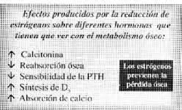 Imagen del artículo