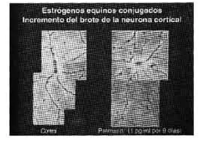 Gráfica 3 del artículo