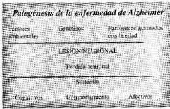 Imagen del artículo