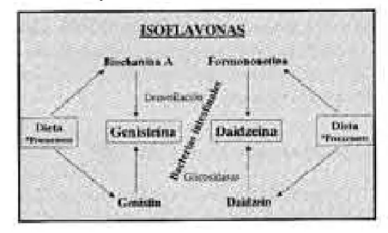 Figura 3 del artículo