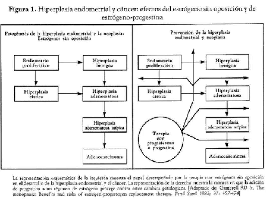 Imagen del artículo