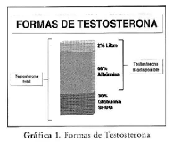 Imagen del artículo