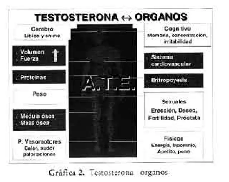 Imagen del artículo