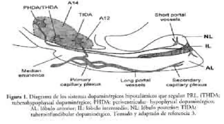 Imagen del artículo