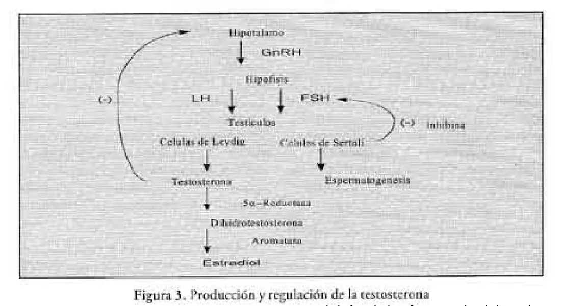 Imagen del artículo