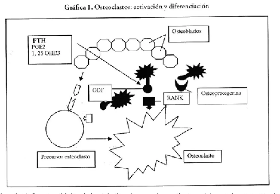Imagen del artículo
