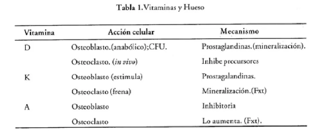Imagen del artículo